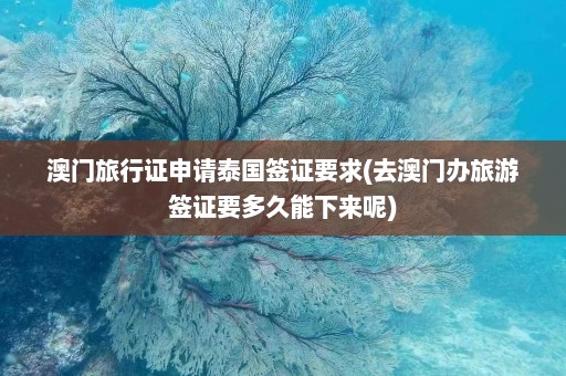 澳门旅行证申请泰国签证要求(去澳门办旅游签证要多久能下来呢)