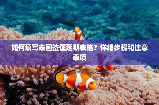 如何填写泰国签证延期表格？详细步骤和注意事项