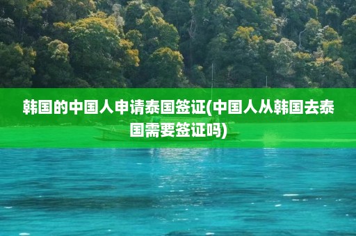 韩国的中国人申请泰国签证(中国人从韩国去泰国需要签证吗)