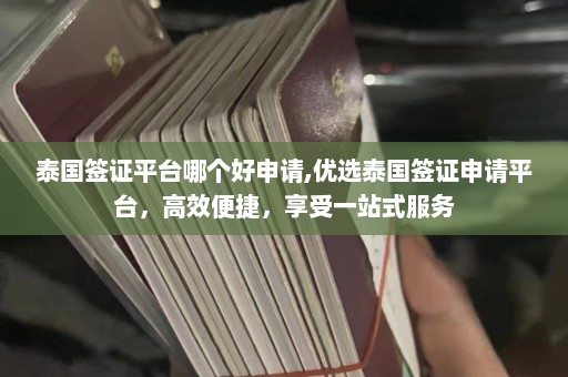 泰国签证平台哪个好申请,优选泰国签证申请平台，高效便捷，享受一站式服务