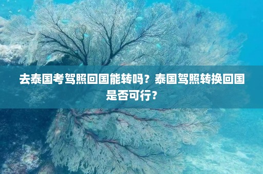 去泰国考驾照回国能转吗？泰国驾照转换回国是否可行？