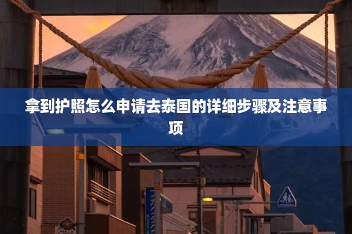 拿到护照怎么申请去泰国的详细步骤及注意事项