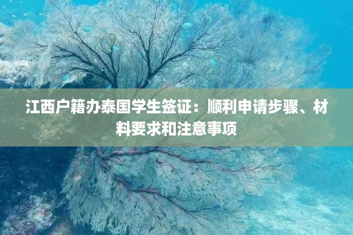 江西户籍办泰国学生签证：顺利申请步骤、材料要求和注意事项