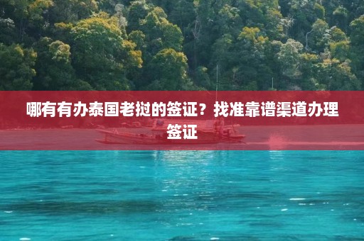 哪有有办泰国老挝的签证？找准靠谱渠道办理签证