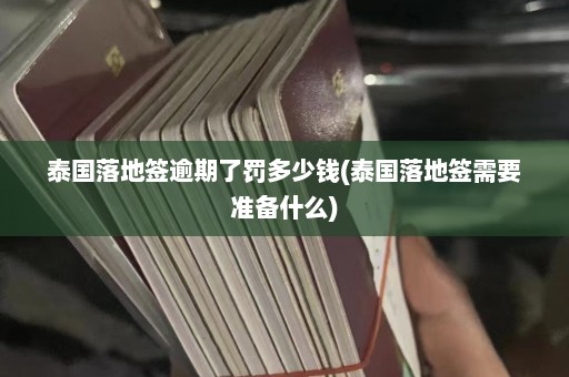 泰国落地签逾期了罚多少钱(泰国落地签需要准备什么)  第1张