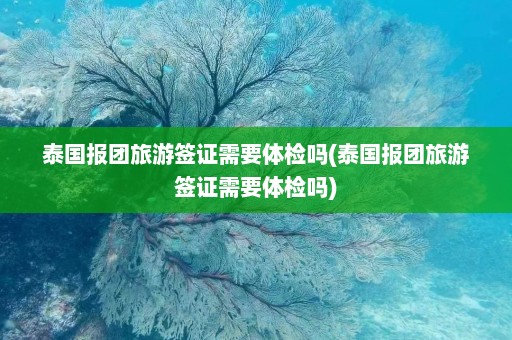 泰国报团旅游签证需要体检吗(泰国报团旅游签证需要体检吗)