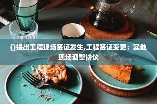 ()提出工程现场签证发生,工程签证变更：实地现场调整协议