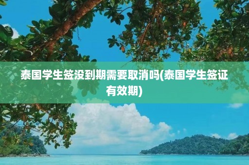 泰国学生签没到期需要取消吗(泰国学生签证有效期)