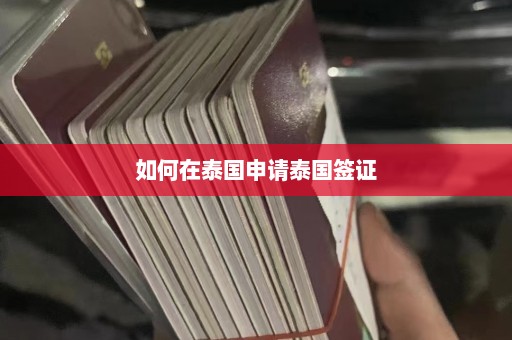 如何在泰国申请泰国签证  第1张