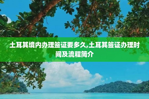 土耳其境内办理签证要多久,土耳其签证办理时间及流程简介