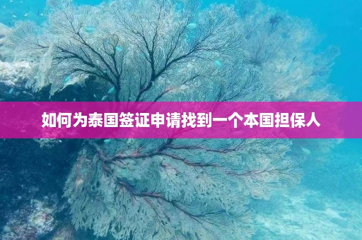 如何为泰国签证申请找到一个本国担保人