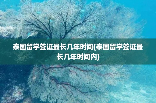 泰国留学签证最长几年时间(泰国留学签证最长几年时间内)