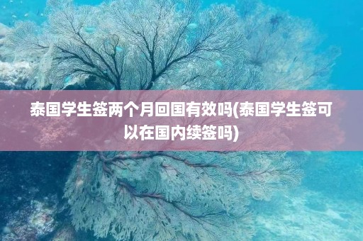 泰国学生签两个月回国有效吗(泰国学生签可以在国内续签吗)