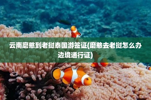 云南磨憨到老挝泰国游签证(磨憨去老挝怎么办边境通行证)