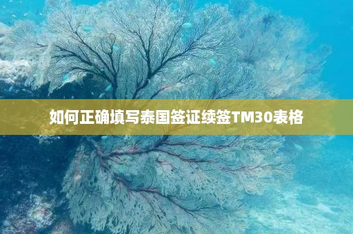 如何正确填写泰国签证续签TM30表格