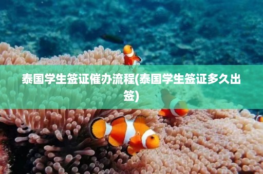 泰国学生签证催办流程(泰国学生签证多久出签)