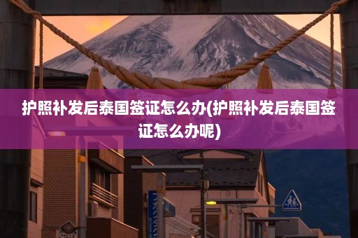 护照补发后泰国签证怎么办(护照补发后泰国签证怎么办呢)