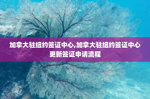 加拿大驻纽约签证中心,加拿大驻纽约签证中心更新签证申请流程