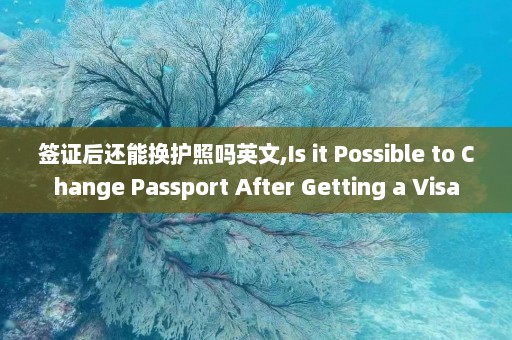 签证后还能换护照吗英文,Is it Possible to Change Passport After Getting a Visa