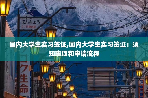 国内大学生实习签证,国内大学生实习签证：须知事项和申请流程