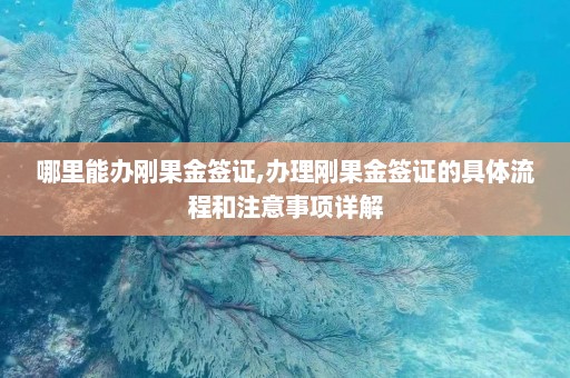 哪里能办刚果金签证,办理刚果金签证的具体流程和注意事项详解