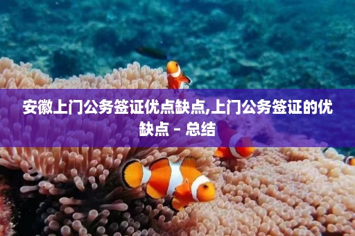 安徽上门公务签证优点缺点,上门公务签证的优缺点 – 总结