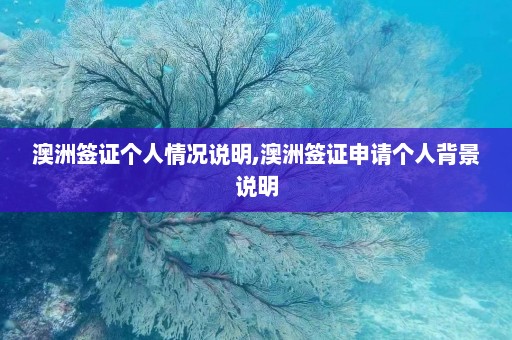 澳洲签证个人情况说明,澳洲签证申请个人背景说明