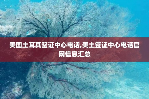 美国土耳其签证中心电话,美土签证中心电话官网信息汇总