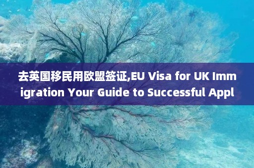 去英国移民用欧盟签证,EU Visa for UK Immigration Your Guide to Successful Application