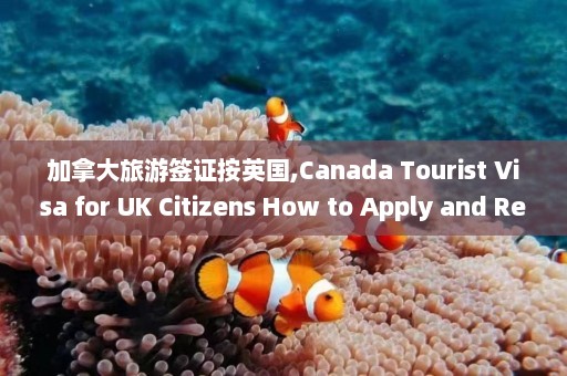 加拿大旅游签证按英国,Canada Tourist Visa for UK Citizens How to Apply and Requirements