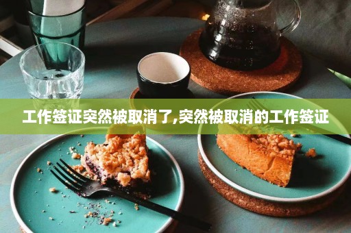 工作签证突然被取消了,突然被取消的工作签证