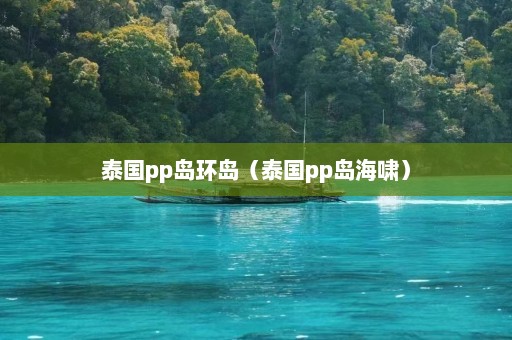 泰国pp岛环岛（泰国pp岛海啸）