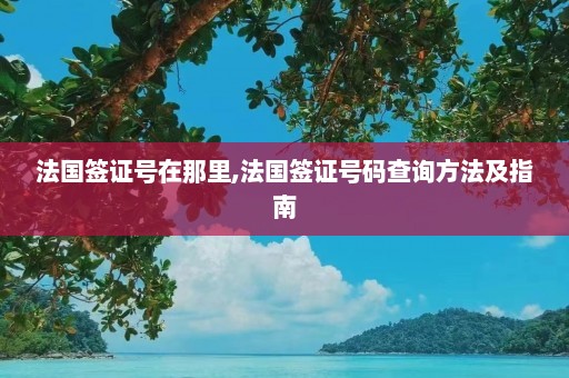 法国签证号在那里,法国签证号码查询方法及指南