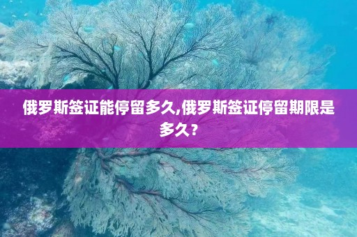 俄罗斯签证能停留多久,俄罗斯签证停留期限是多久？