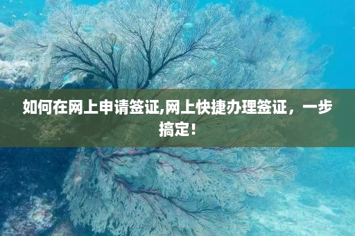 如何在网上申请签证,网上快捷办理签证，一步搞定！