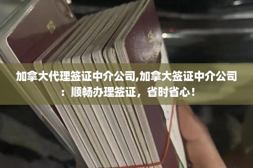 加拿大代理签证中介公司,加拿大签证中介公司：顺畅办理签证，省时省心！