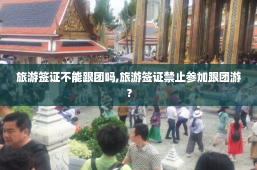 旅游签证不能跟团吗,旅游签证禁止参加跟团游？  第1张