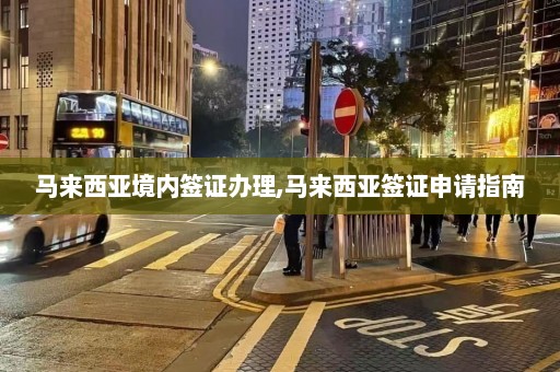 马来西亚境内签证办理,马来西亚签证申请指南