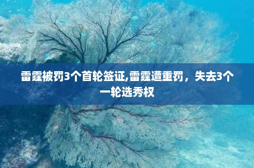 雷霆被罚3个首轮签证,雷霆遭重罚，失去3个一轮选秀权