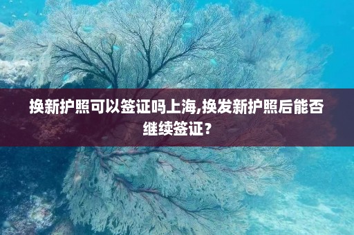 换新护照可以签证吗上海,换发新护照后能否继续签证？