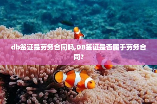 db签证是劳务合同吗,DB签证是否属于劳务合同？