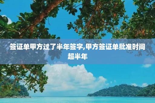 签证单甲方过了半年签字,甲方签证单批准时间超半年