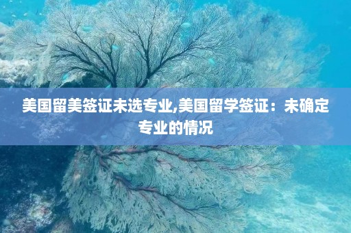 美国留美签证未选专业,美国留学签证：未确定专业的情况