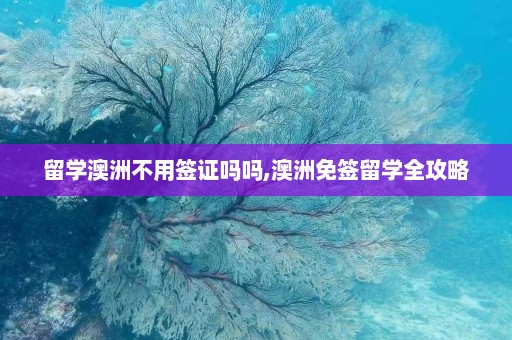 留学澳洲不用签证吗吗,澳洲免签留学全攻略