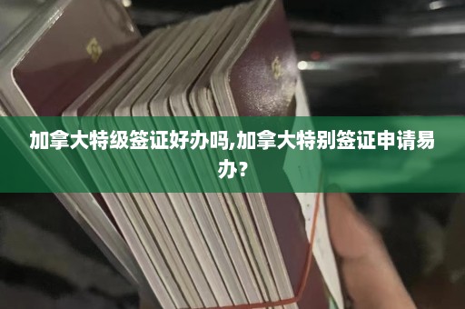 加拿大特级签证好办吗,加拿大特别签证申请易办？  第1张