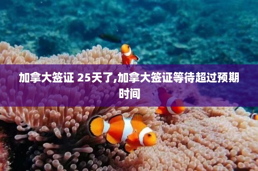 加拿大签证 25天了,加拿大签证等待超过预期时间