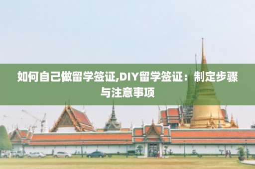 如何自己做留学签证,DIY留学签证：制定步骤与注意事项  第1张