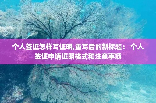 个人签证怎样写证明,重写后的新标题： 个人签证申请证明格式和注意事项