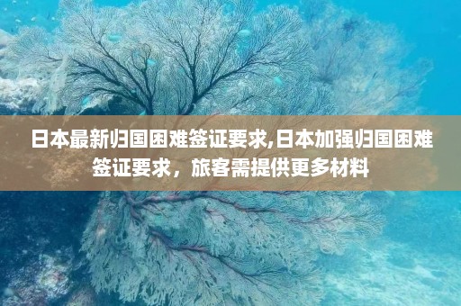 日本最新归国困难签证要求,日本加强归国困难签证要求，旅客需提供更多材料