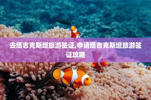 去塔吉克斯坦旅游签证,申请塔吉克斯坦旅游签证攻略